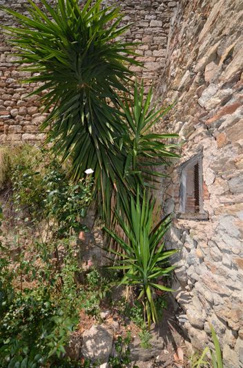 Image No.7-3 Bed House for sale