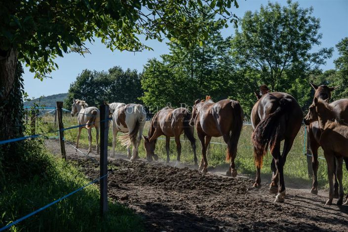 Image No.28-17 Bed House for sale