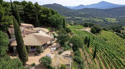 1 - Suzette, House