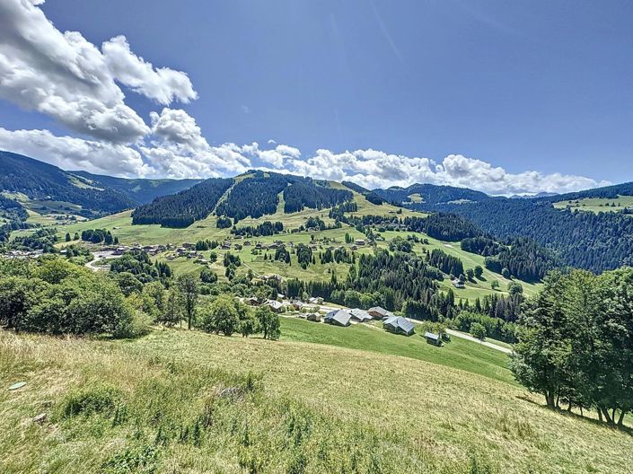 Image No.33-8 Bed House for sale