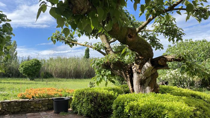 Image No.6-5 Bed House for sale