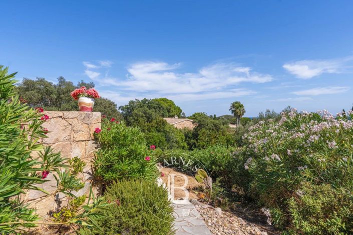 Image No.21-Maison de 5 chambres à vendre à Corse