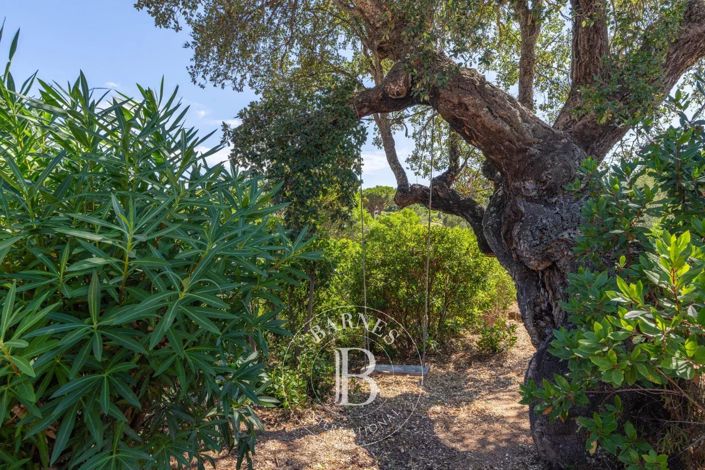 Image No.22-Maison de 5 chambres à vendre à Corse