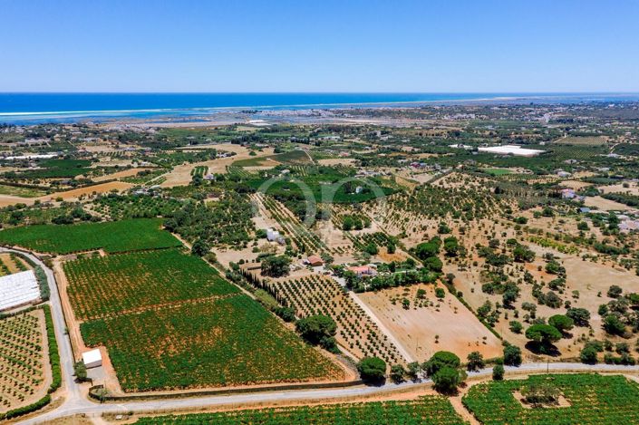 Image No.19-5 Bed House for sale