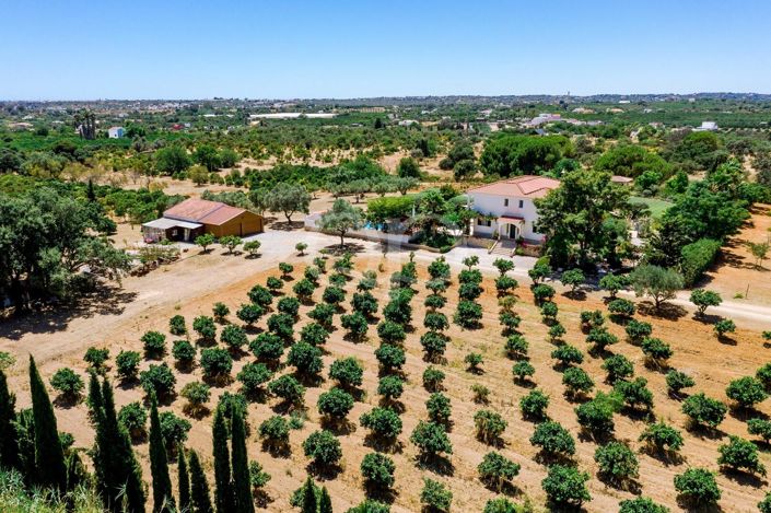 Image No.20-5 Bed House for sale