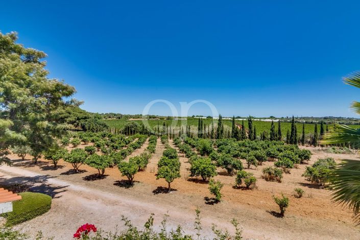 Image No.35-5 Bed House for sale