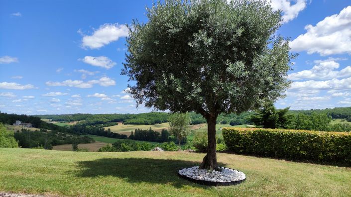 Image No.34-5 Bed House for sale