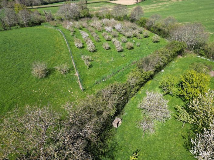 Image No.13-5 Bed House for sale