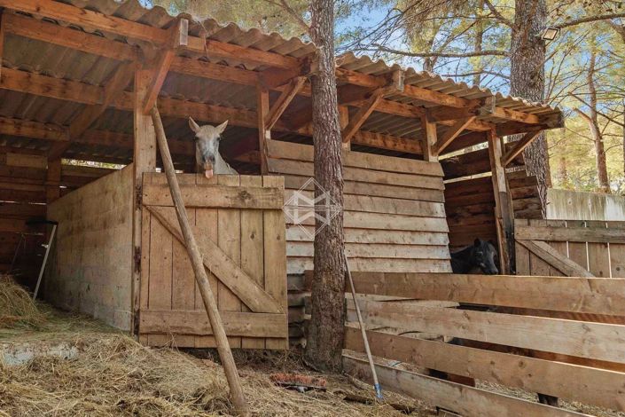 Image No.20-7 Bed House for sale