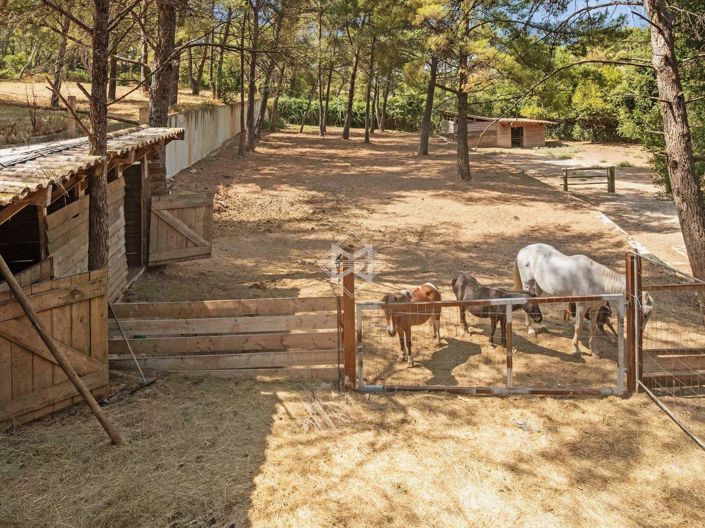 Image No.4-7 Bed House for sale