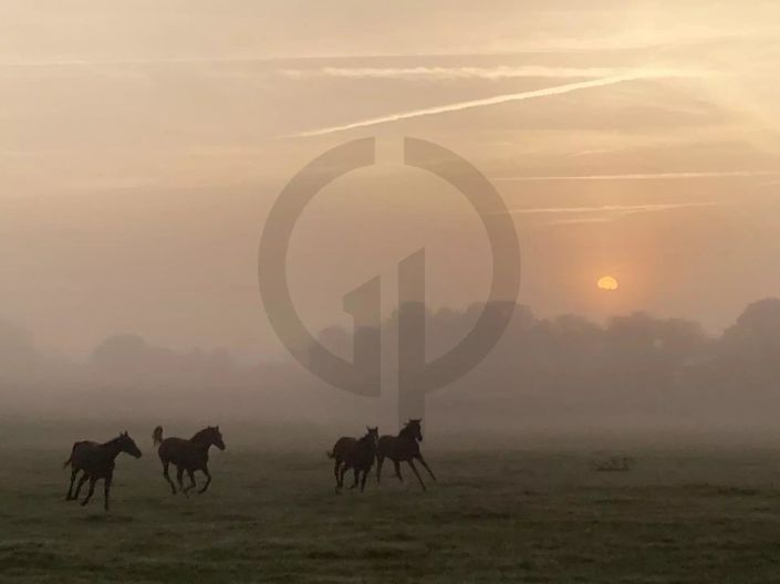 Image No.9-9 Bed House for sale