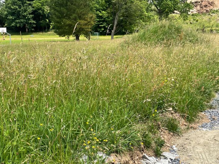 Image No.2-2 Bed House for sale