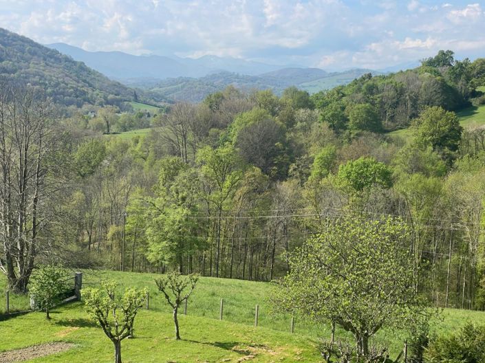 Image No.2-4 Bed House for sale