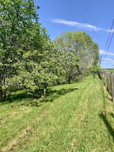 Image No.6-3 Bed House for sale