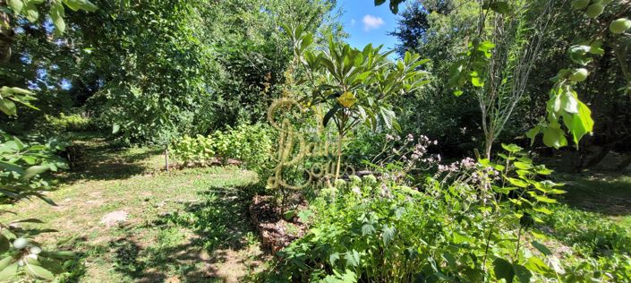 Image No.30-3 Bed House for sale