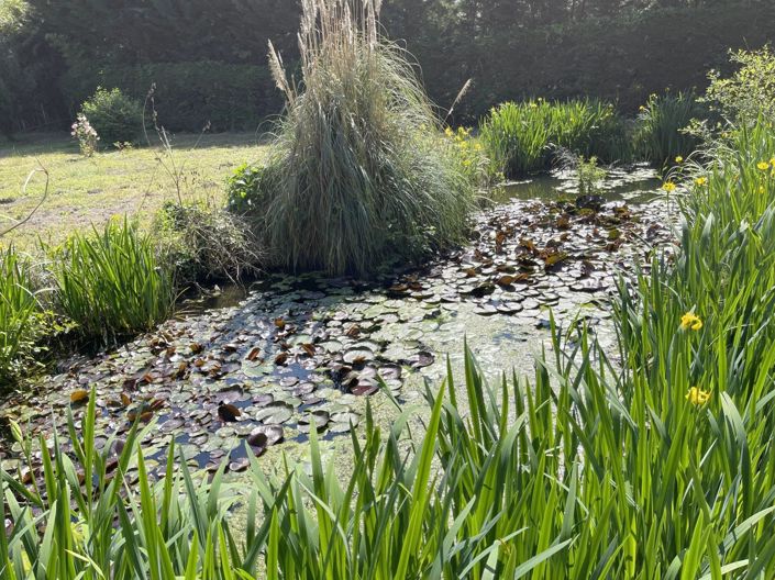 Image No.24-4 Bed House for sale