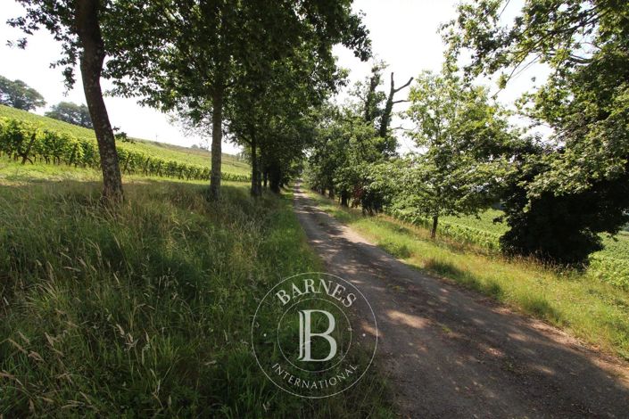 Image No.2-4 Bed House for sale