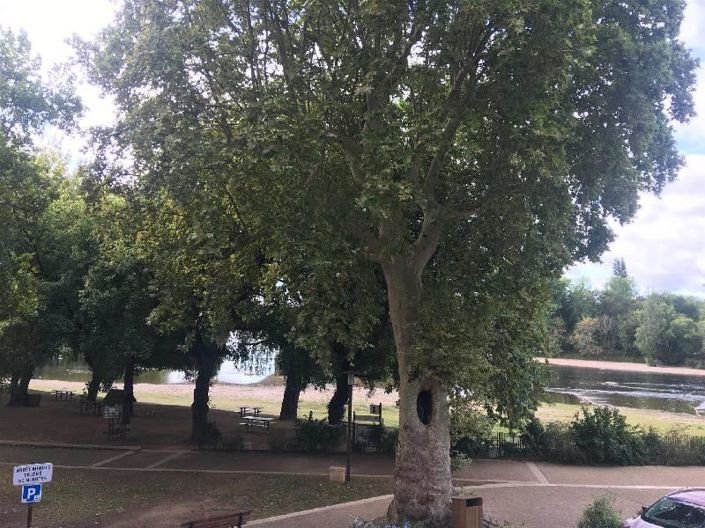 Image No.10-House for sale