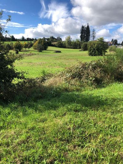 Image No.5-House for sale