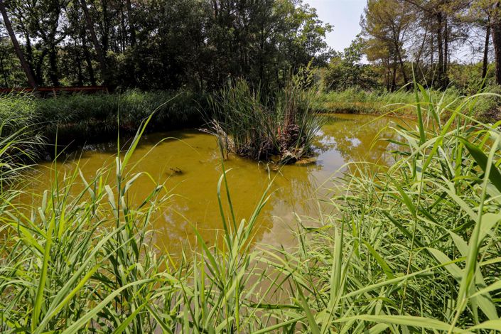 Image No.43-4 Bed House for sale