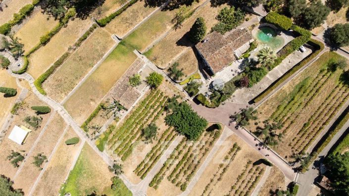 Image No.10-Propriété à vendre à Mougins