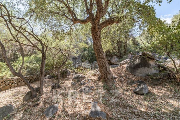 Image No.5-6 Bed House for sale