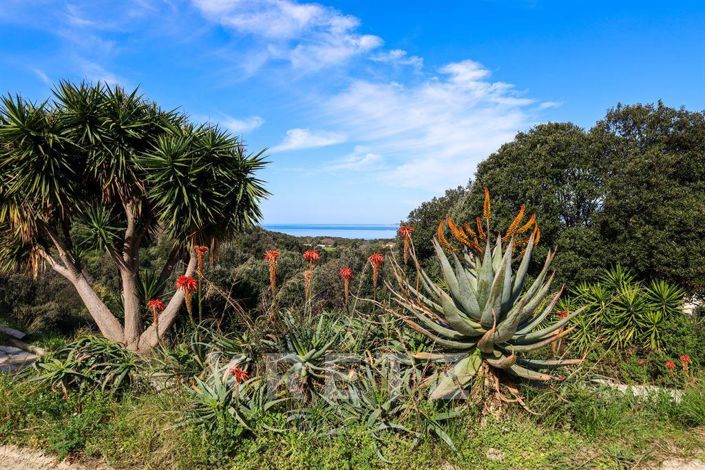 Image No.16-10 Bed House for sale