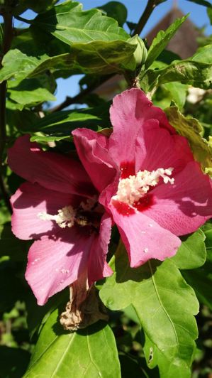 Image No.7-4 Bed Property for sale