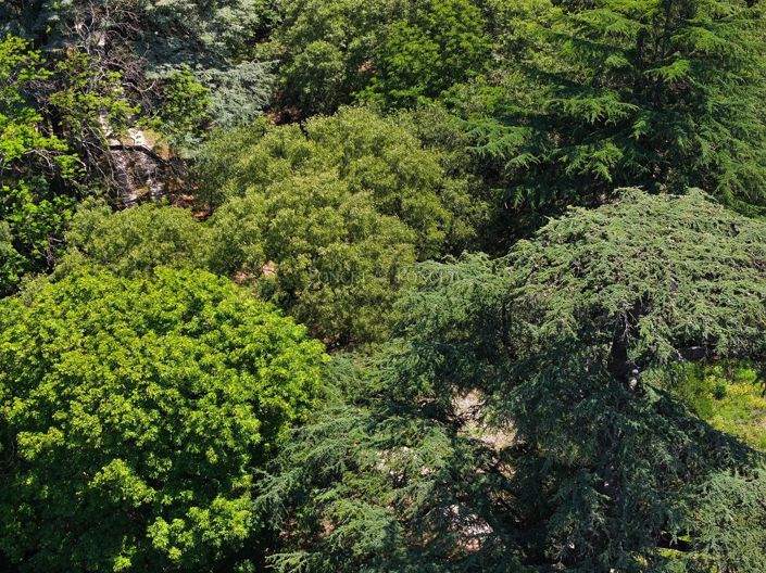 Image No.2-14 Bed House for sale