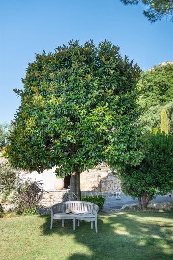 Image No.32-8 Bed House for sale