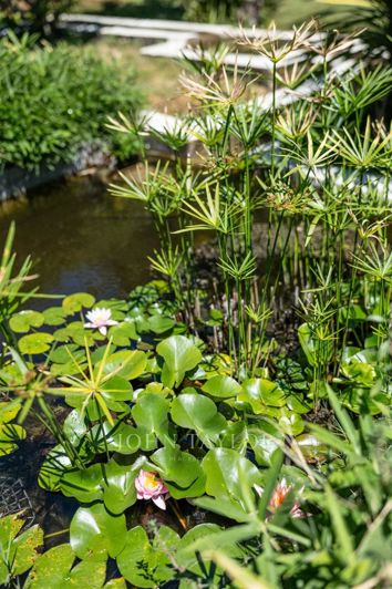 Image No.48-8 Bed House for sale