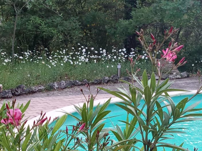 Image No.4-House for sale