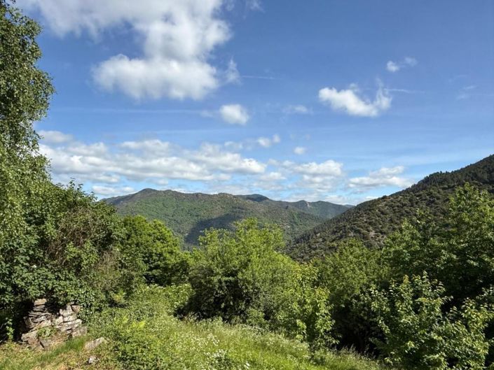 Image No.4-4 Bed House for sale