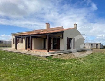 1 - Grues, House