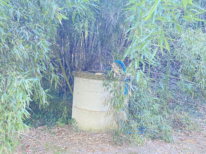 Image No.25-5 Bed House for sale