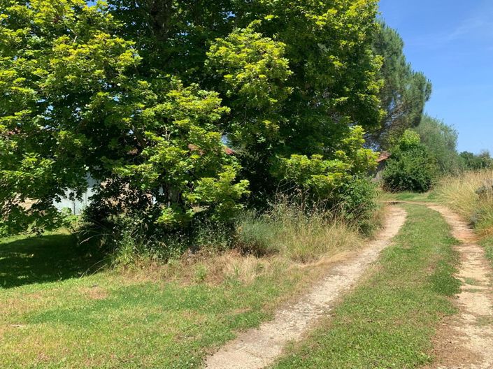 Image No.4-3 Bed House for sale