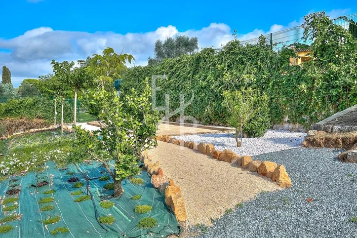 Image No.19-4 Bed House for sale