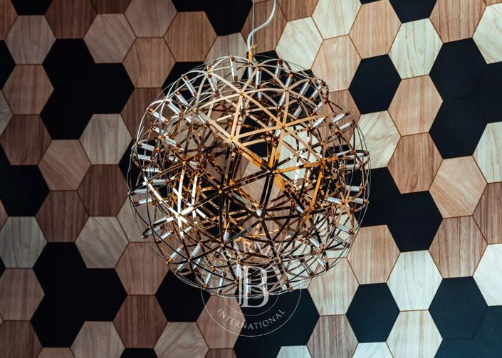 Image No.24-Appartement de 8 chambres à vendre à Haute-Savoie