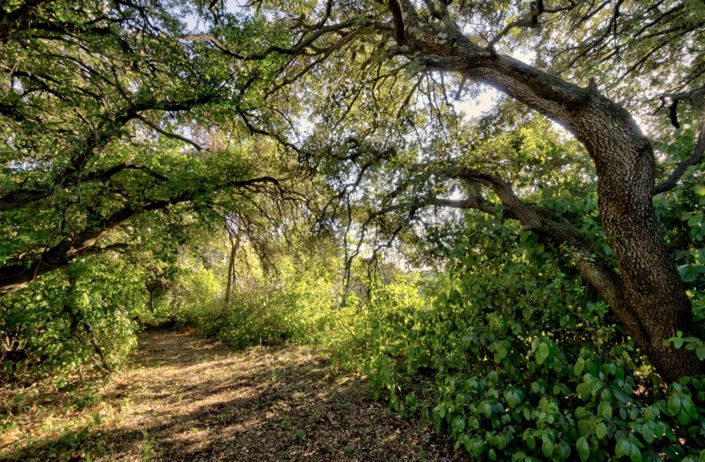 Image No.18-2 Bed House for sale