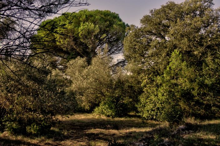 Image No.19-2 Bed House for sale