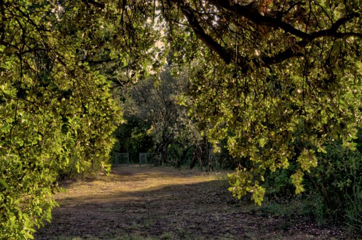 Image No.20-2 Bed House for sale