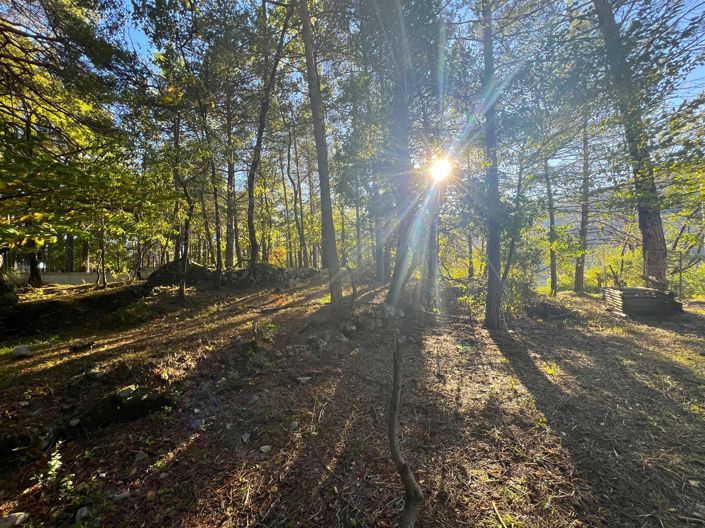 Image No.7-1 Bed House for sale