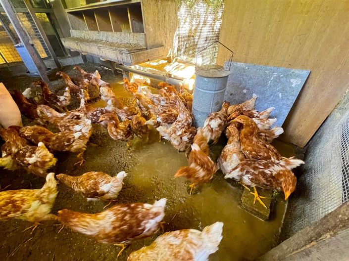 Image No.8-1 Bed House for sale