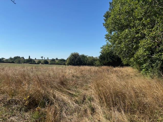 Image No.32-6 Bed House for sale