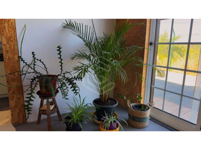 Image No.19-2 Bed House for sale