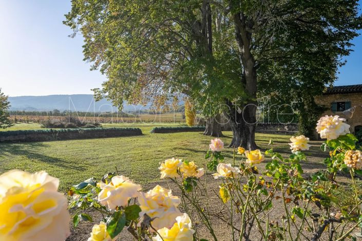 Image No.2-5 Bed House for sale