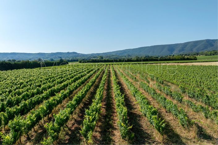 Image No.3-5 Bed House for sale