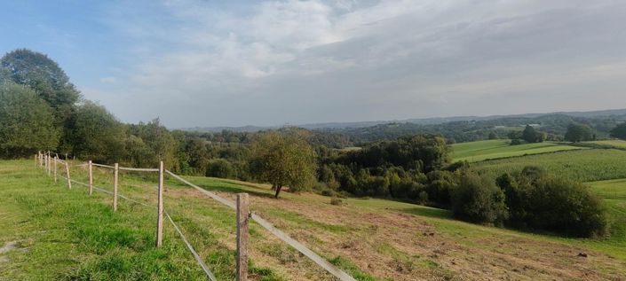 Image No.3-5 Bed House for sale