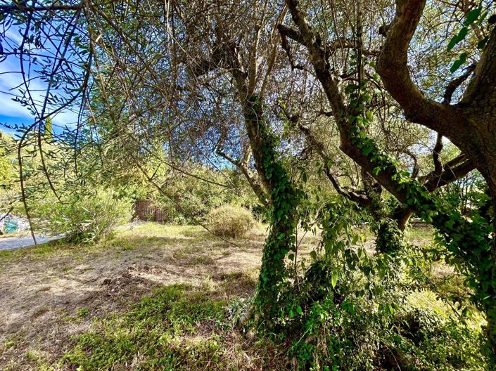 Image No.3-House for sale