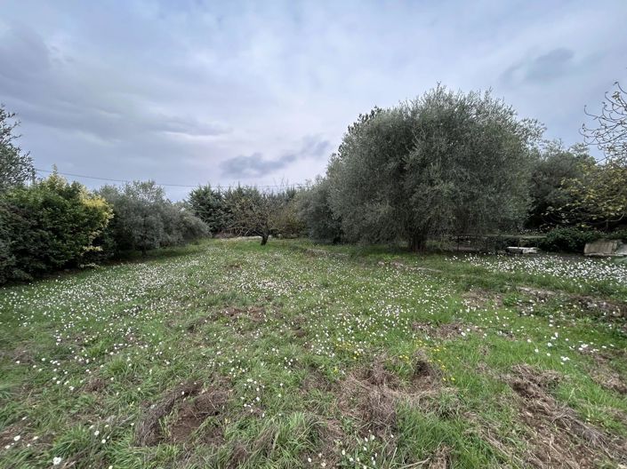 Image No.6-House for sale